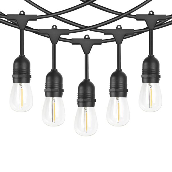 LIDORE Wholesale LED S14 Light String